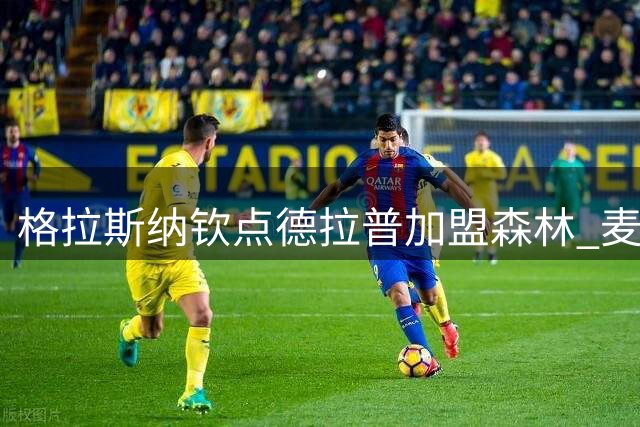 格拉斯纳钦点德拉普加盟森林 麦卡蒂或成其最佳搭档